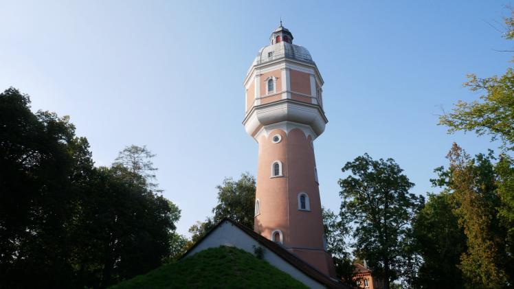 FDP Neu-Ulm